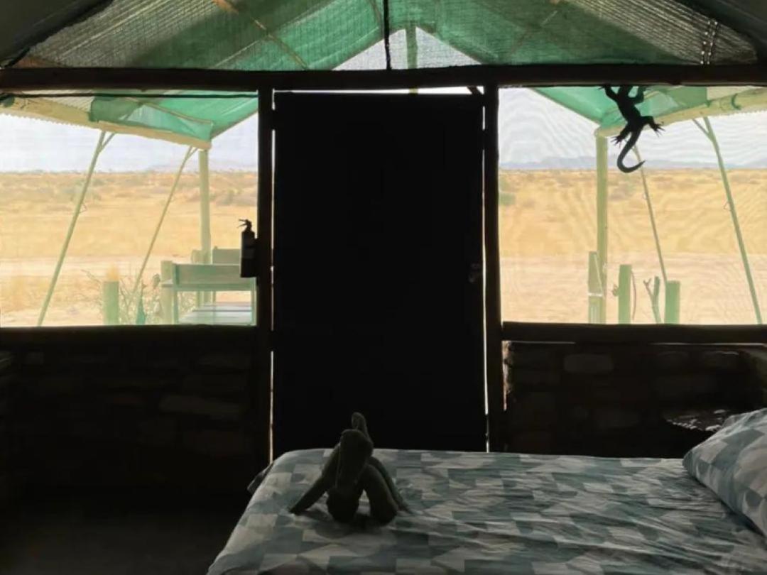 Camp Gecko - Private Nature Reserve; Tented Camp And Campsite Solitaire Ngoại thất bức ảnh